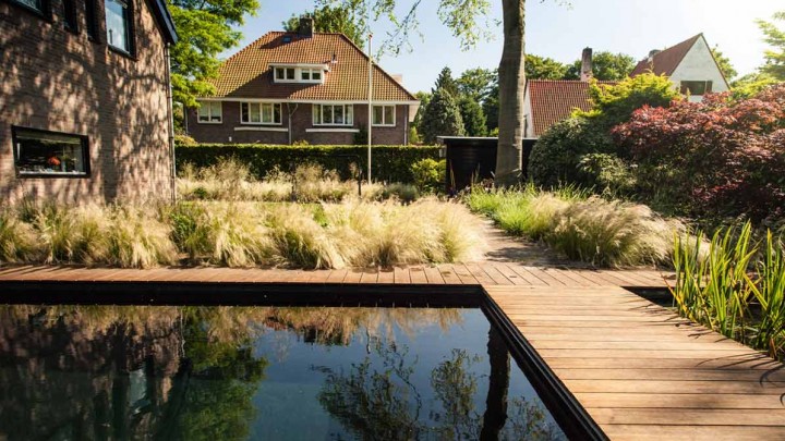 zwemvijver in de tuin