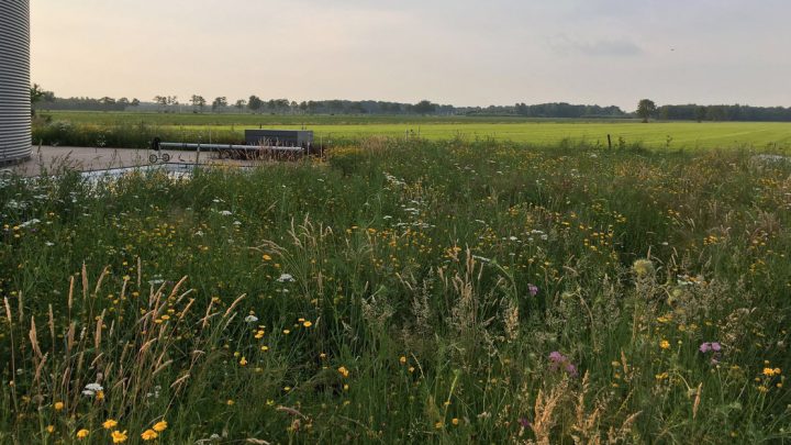 wellnesstuin koekangen