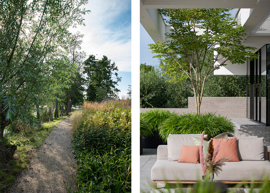 tuinontwerp_privacy_groen